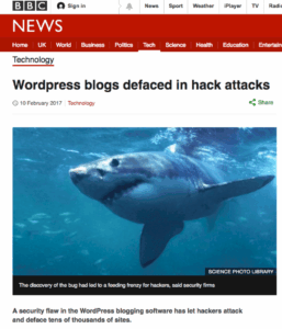 Great white shark swimming underwater