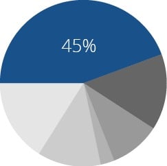 Fertile.Digital | Fertile Frog Wins Bolton Wanderers FC Logo Competition! Pie chart showing 45% segment in blue.