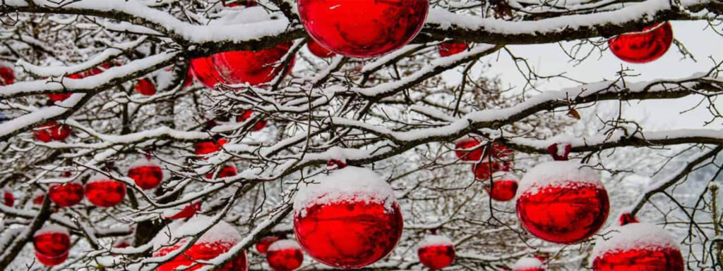 Snowy branches with red Christmas baubles.