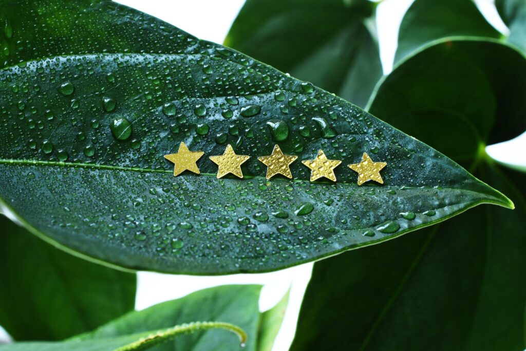 Five gold stars on wet green leaf