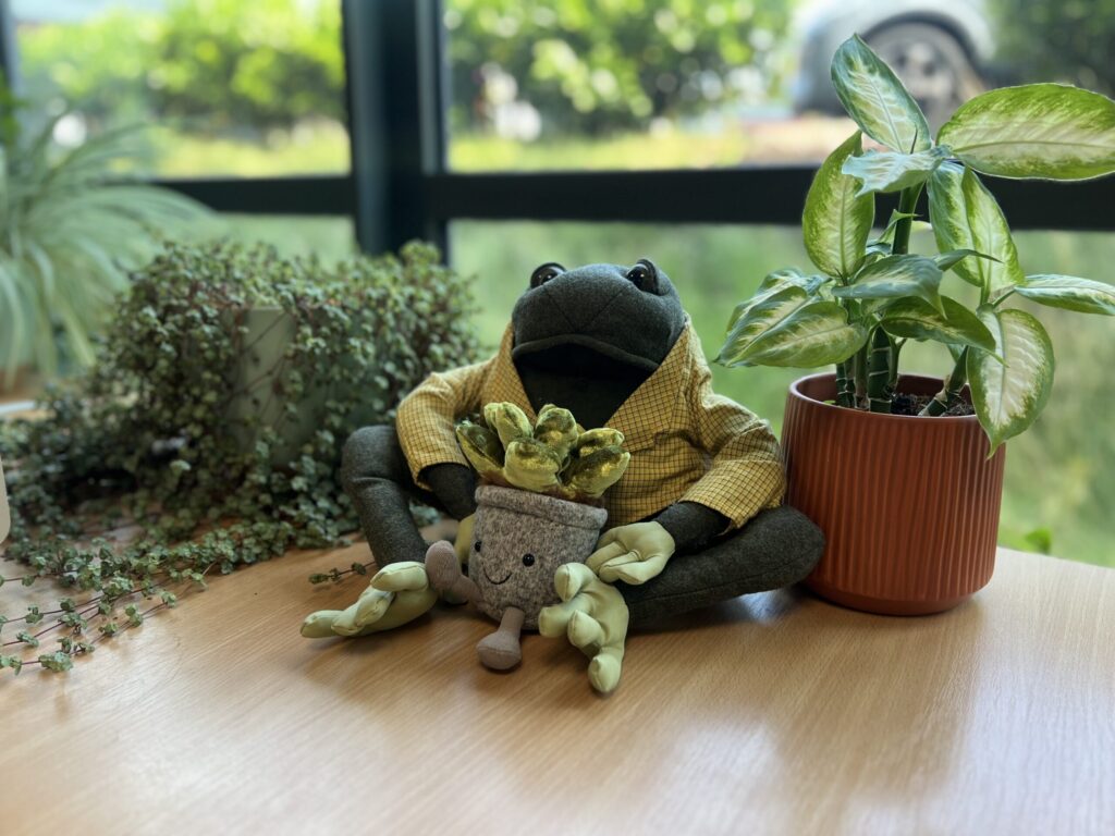 Stuffed frog with plants on wooden table.